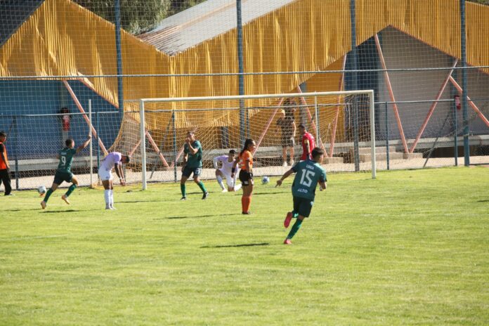 WhatsApp Image 2025-04-06 at 4.13.10 PM (8) (1)