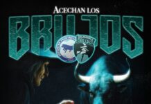 Brujas viaja al sur para enfrentar a Provincial Osorno